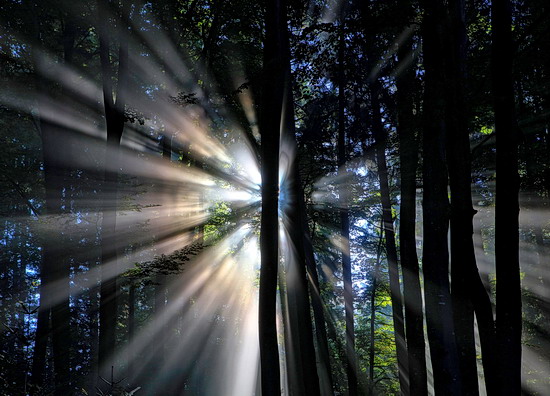 2021_10_01_gott_in_der_natur 2021_10_01_gott_in_der_natur
